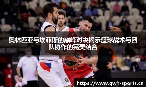 球王会体育官网